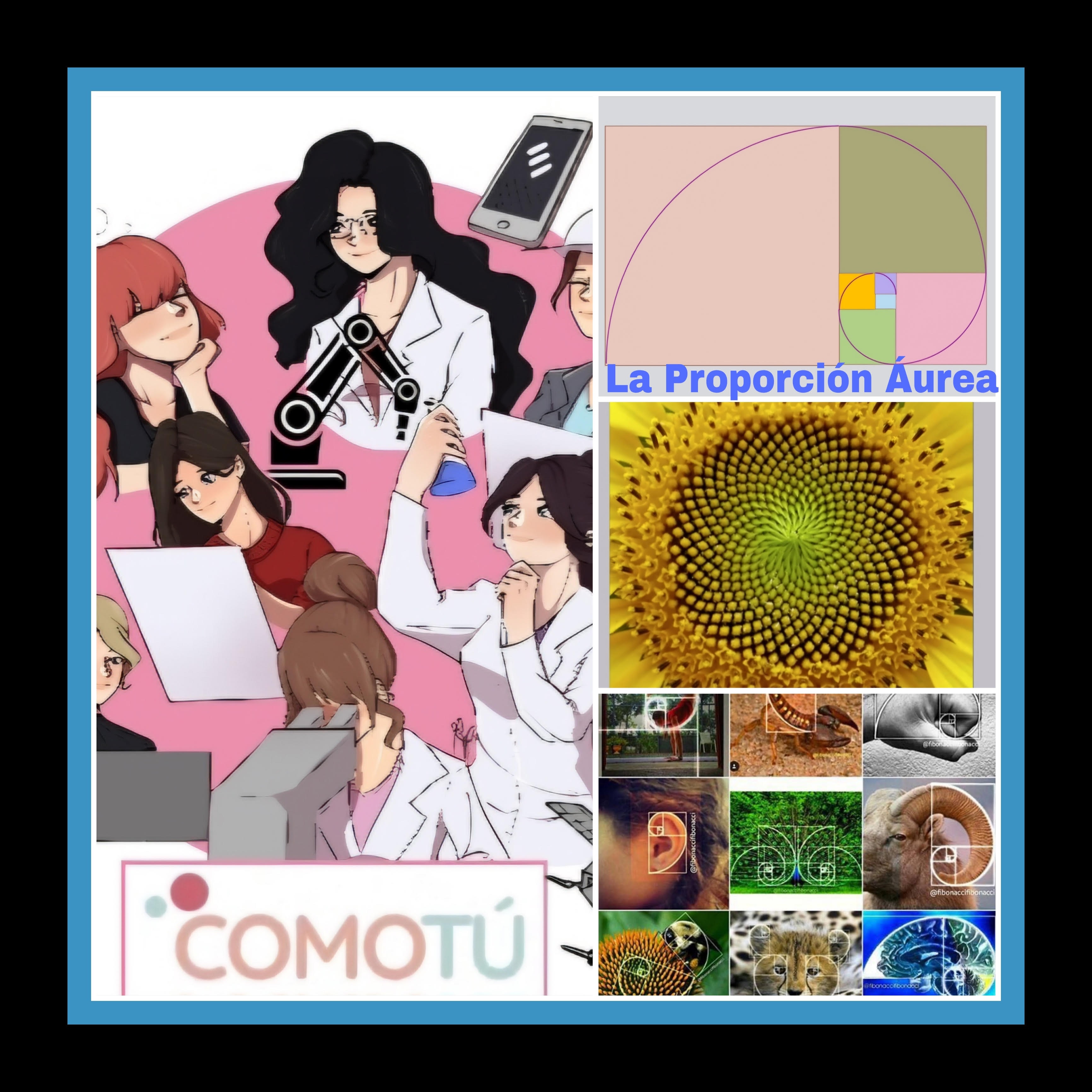 Imagen de la noticia: La Proporción Áurea en el IES Monterroso